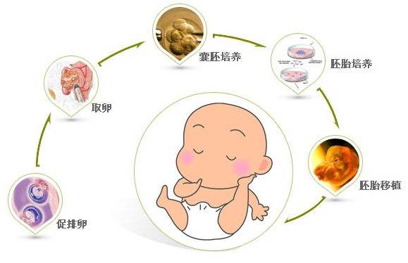 月经推迟四天还没有来怎么办 月经推迟四天了还没来怎么办